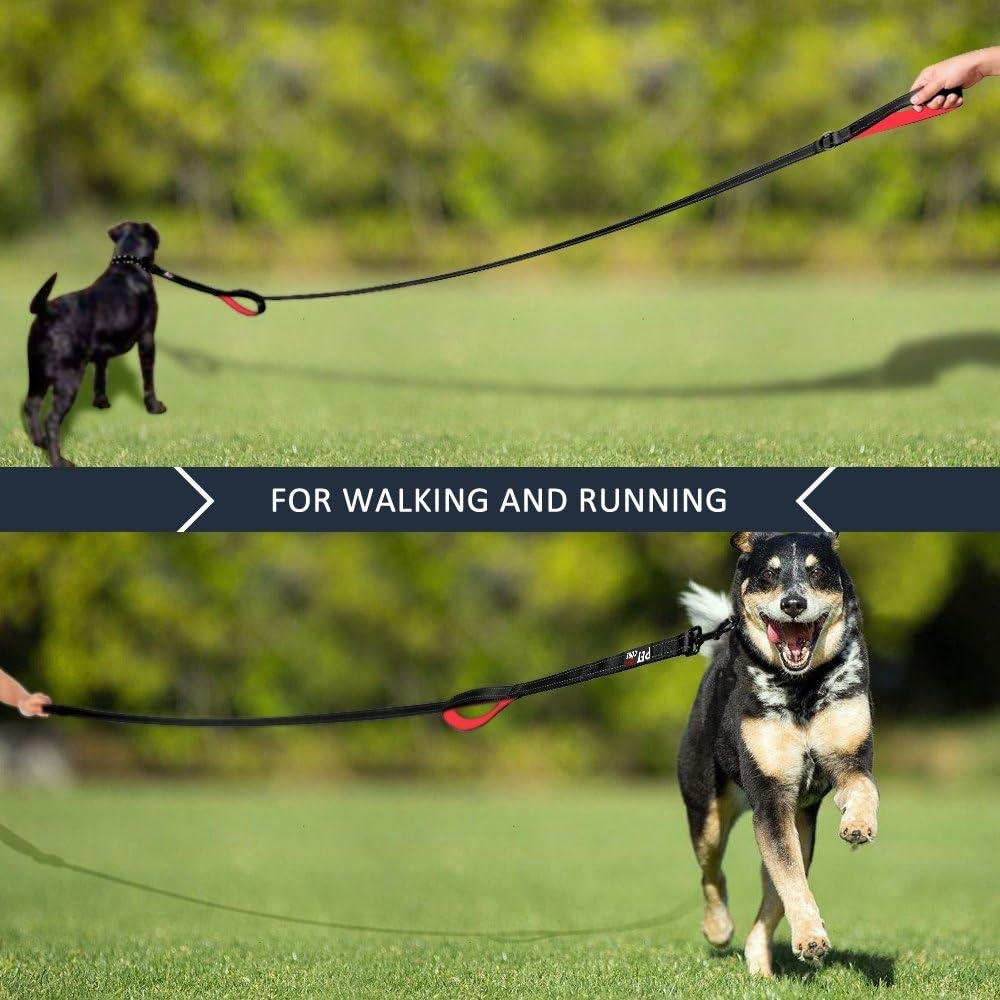 Pioneer Petcore Dog Lead Review: Comfort and Control Combined