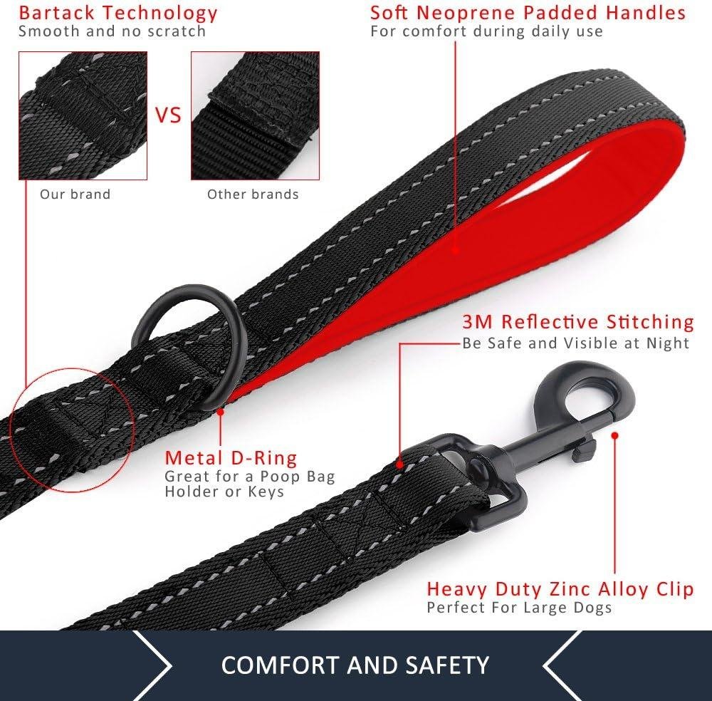 Pioneer Petcore Dog Lead Review: Comfort and Control Combined