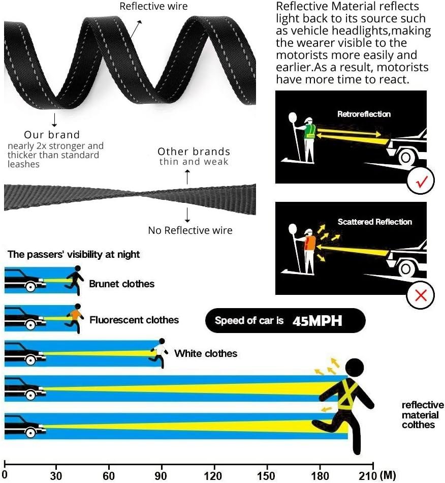 Pioneer Petcore Dog Lead Review: Comfort and Control Combined