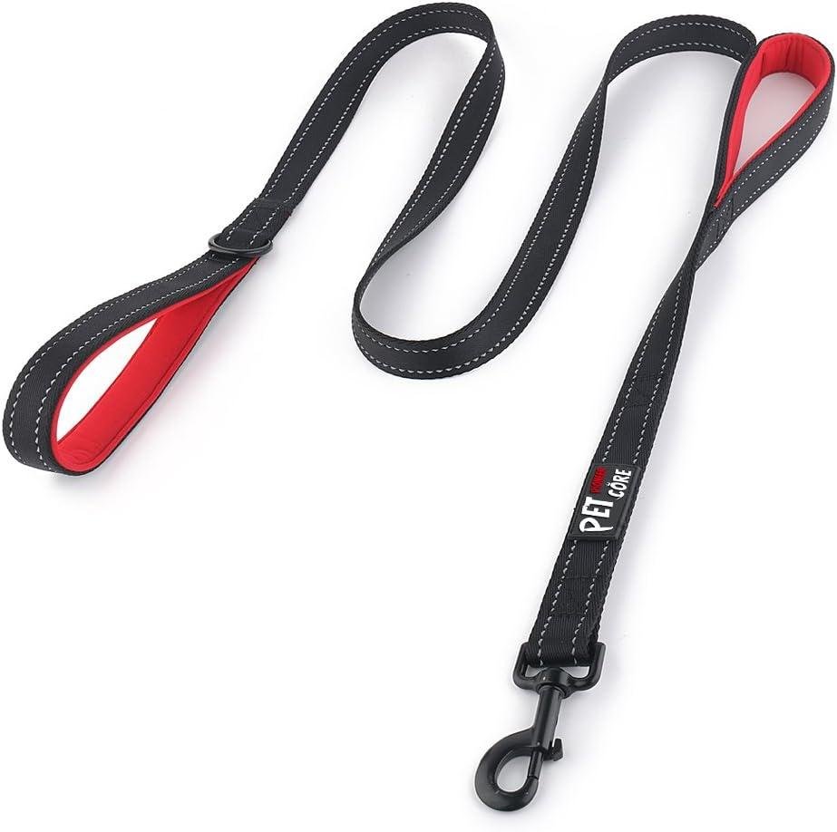 Pioneer Petcore Dog Lead review highlighting ergonomic design for comfort and strong control during walks