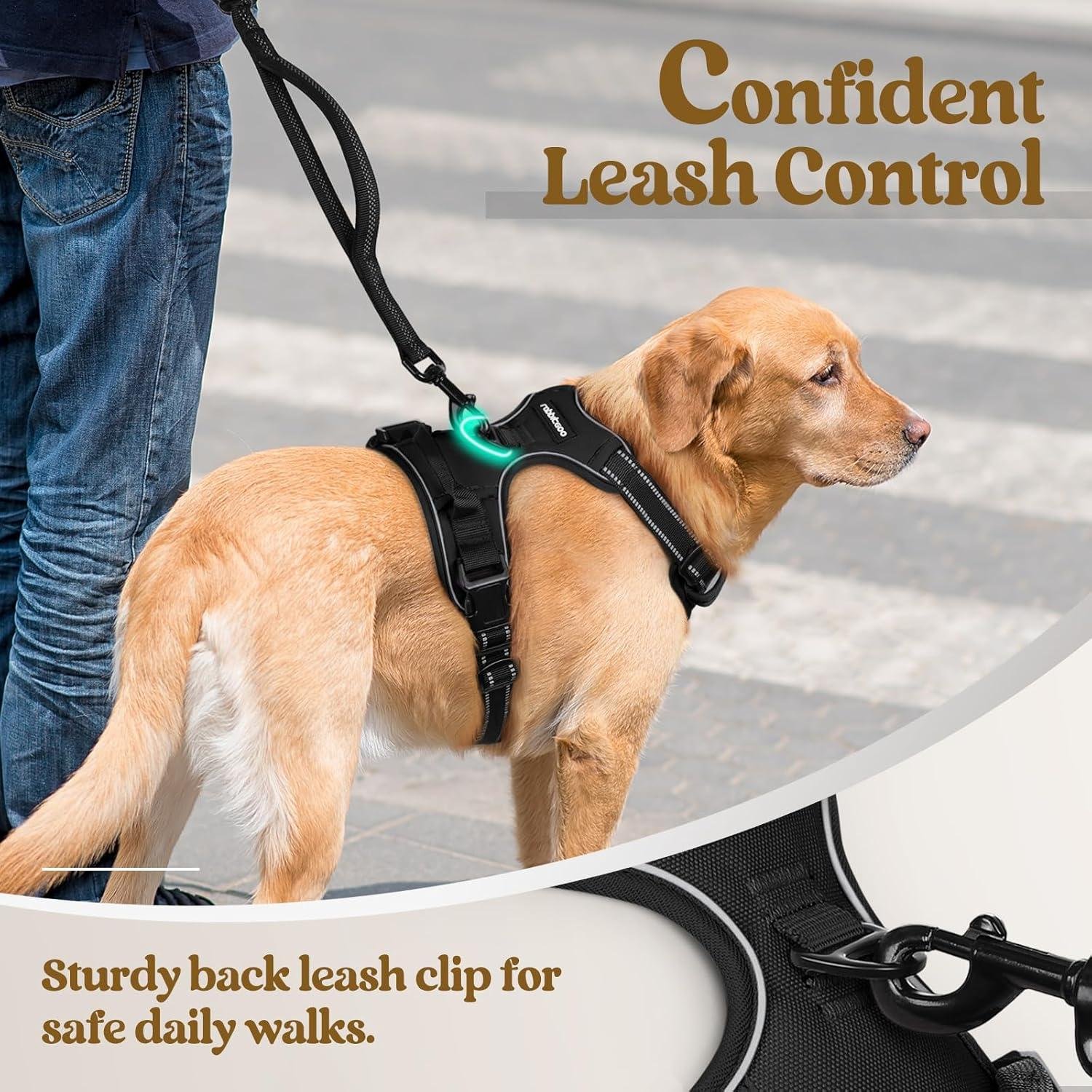 Why the rabbitgoo No-Pull Dog Harness Is Our Top Pick for Large Dogs